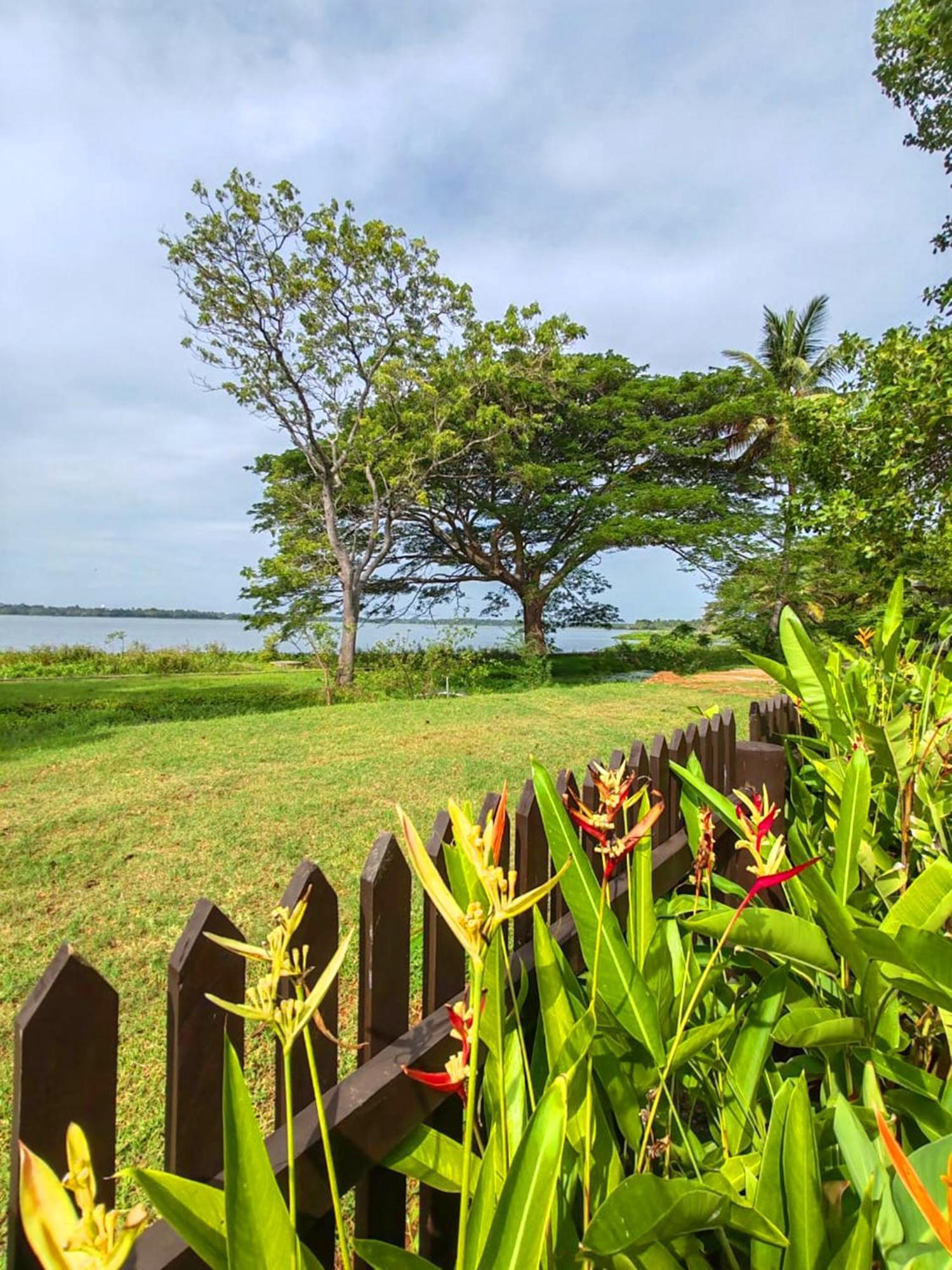 Art Yala Boutique Resort Tissamaharama Luaran gambar