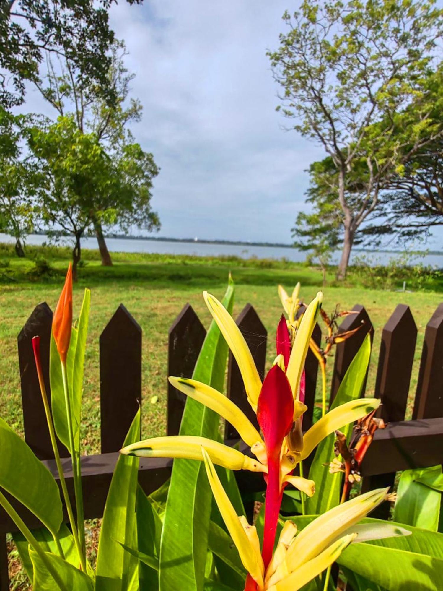 Art Yala Boutique Resort Tissamaharama Luaran gambar