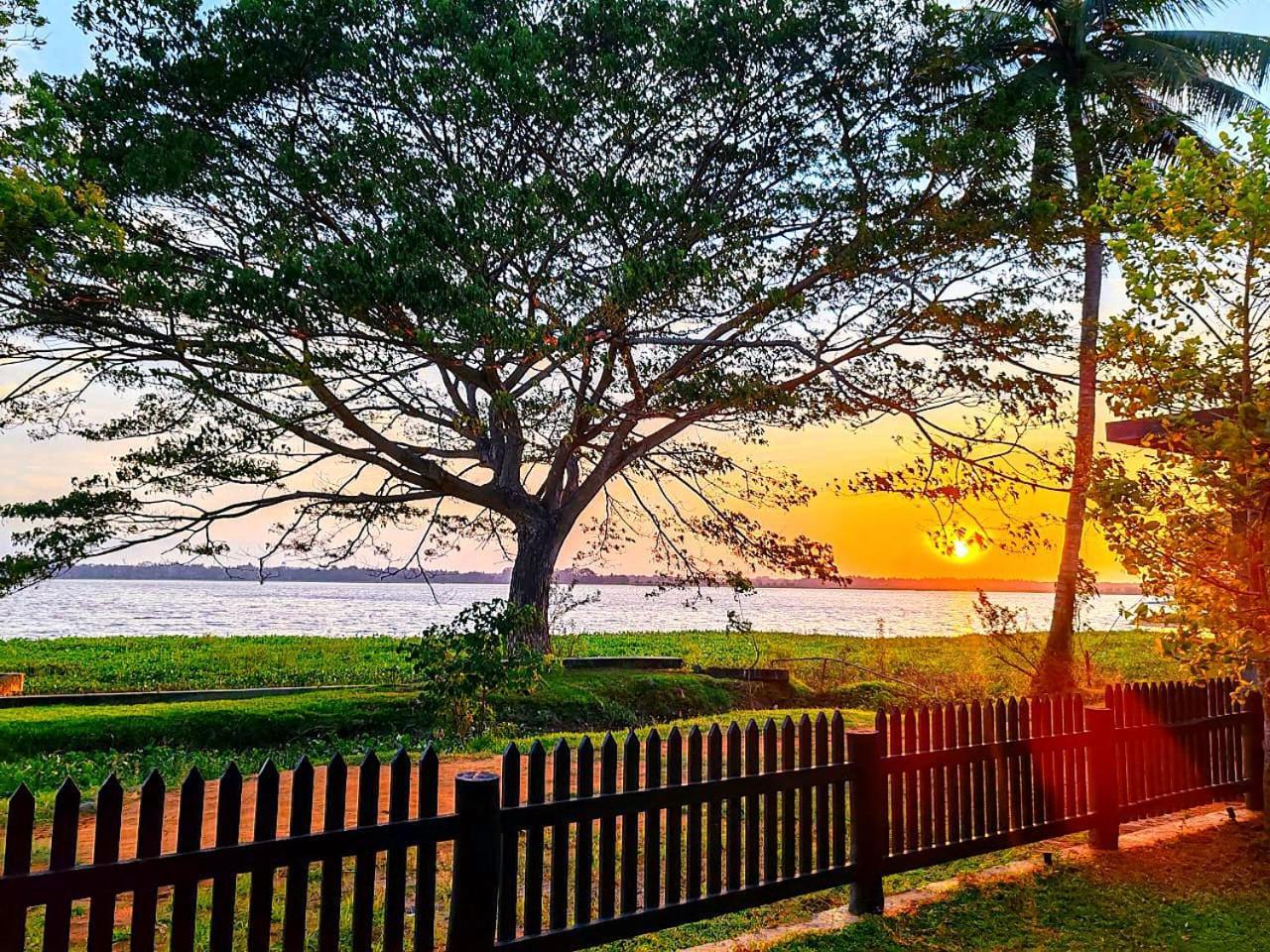 Art Yala Boutique Resort Tissamaharama Luaran gambar