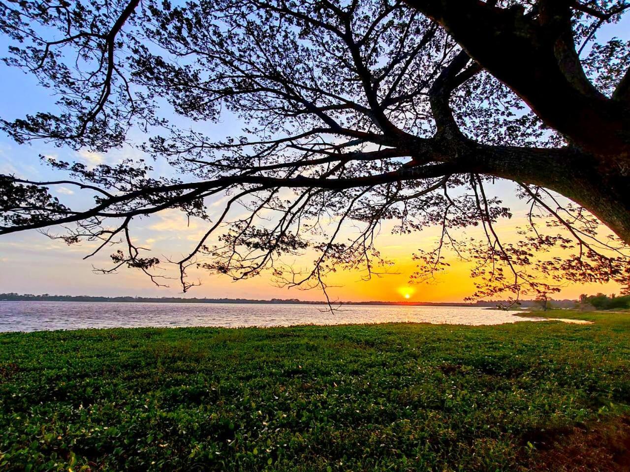 Art Yala Boutique Resort Tissamaharama Luaran gambar